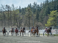 2 løbsdag - Påsketrav 20 April 2019