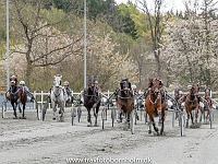 4 løbsdag - 4 Maj 2019