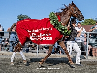 13 løbsdag 14 juli 2023 - Bornholm Hotels - Calles Cup