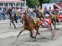 19 løbsdag 29 august 2023 -  V65 - Bornholms Tidendes Stjerneløb