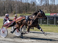 2 løbsdag 22 april 2023 - Formiddags trav