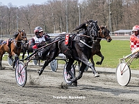 3 løbsdag 29 april 2023 - Formiddagstrav