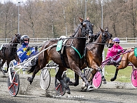 4 løbsdag 6. maj 2023 - Golden League 3. afdeling