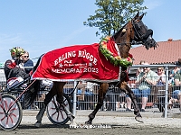 7 løbsdag 29 maj kl 12 - PL Entreprise Erling Rügge Memorial - Pinsetrav