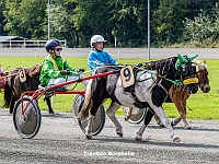 Ponyeventdag på Bornholms Brand Park 9 september 2023