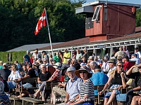 12 løbsdag 26 juni 2024 - Sommeraftentrav