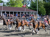 10 løbsdag 12 juni 2024 - Folkemødetrav